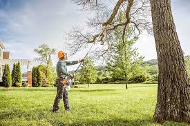 Lawn Irrigation Installation and Maintenance in Burton, SC